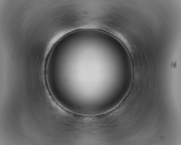 X0000090861480200707271218