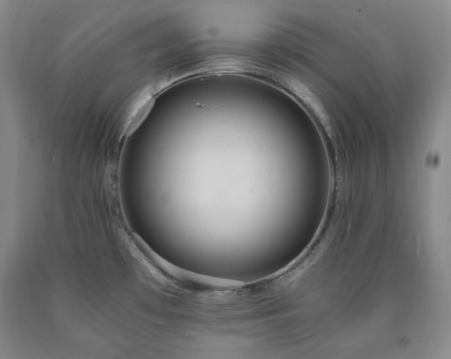 X0000090861481200707271218