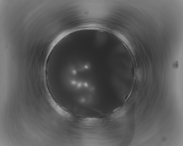 X0000090861482200707271218
