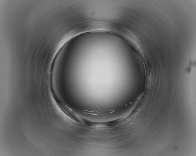 X0000090861483200707271218