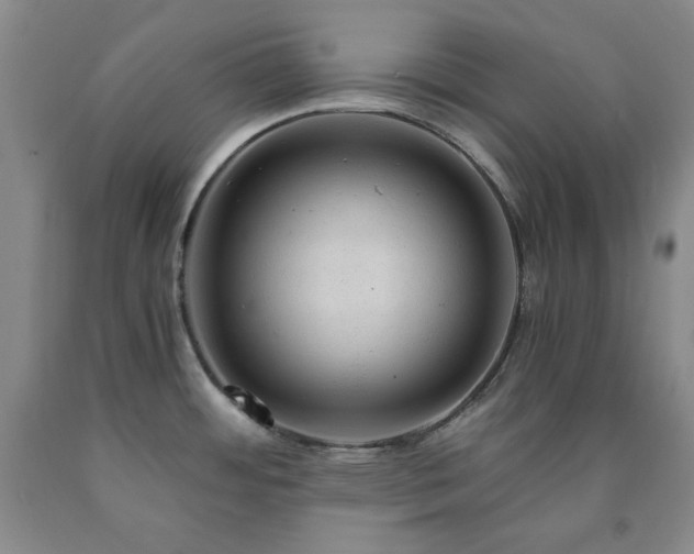 X0000090861484200707271218