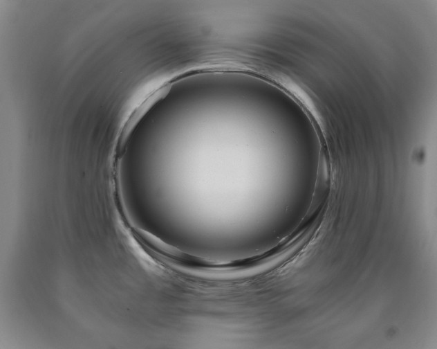 X0000090861485200707271218