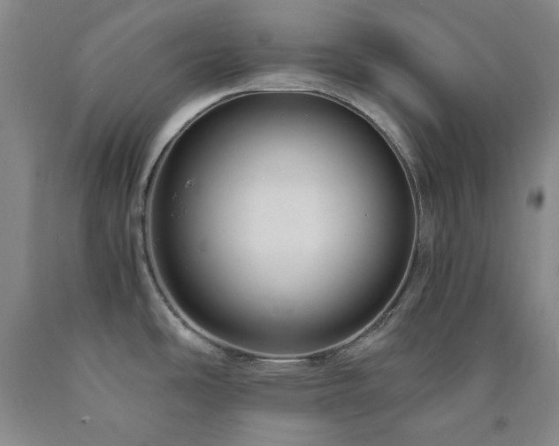 X0000090861486200707271218