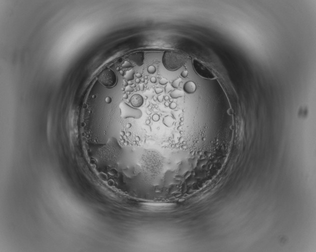X0000090861487200707271218