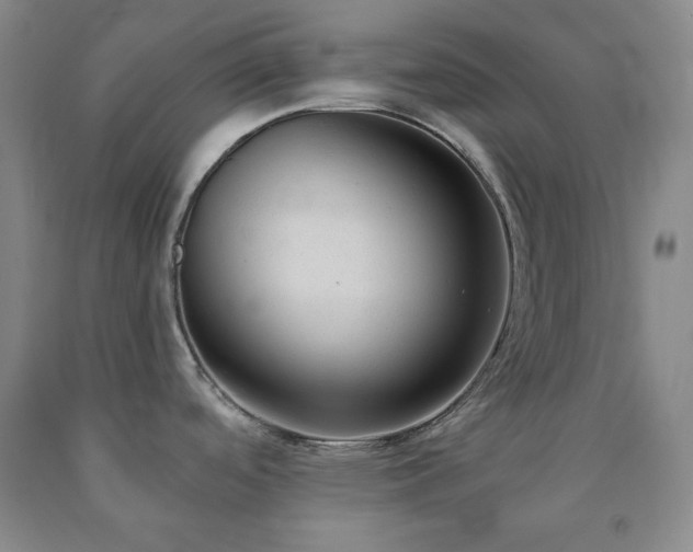 X0000090861488200707271218