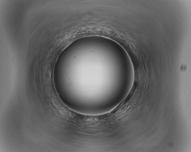 X0000090861489200707271217