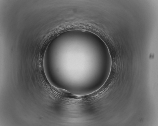 X0000090861490200707271217