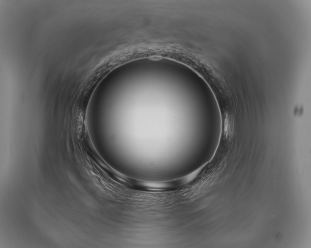 X0000090861492200707271217