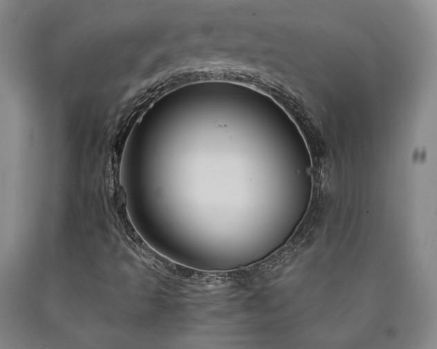 X0000090861493200707271217