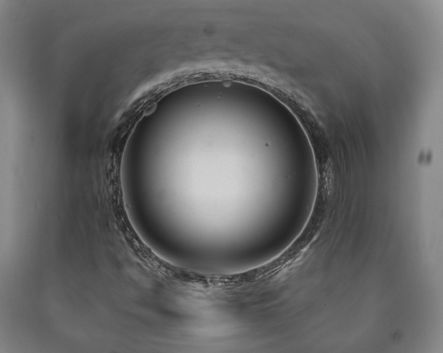 X0000090861494200707271217