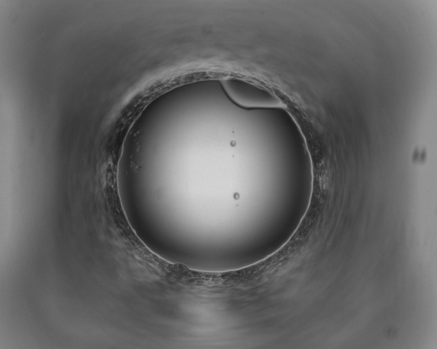X0000090861495200707271217