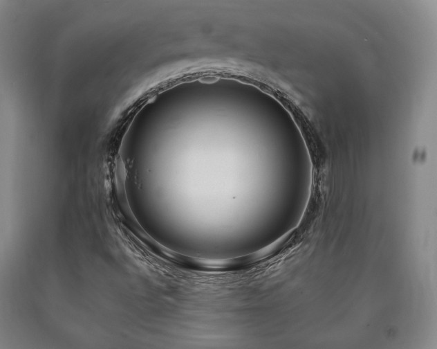 X0000090861496200707271217