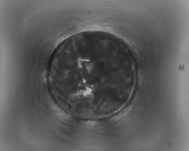 X0000090861497200707271217