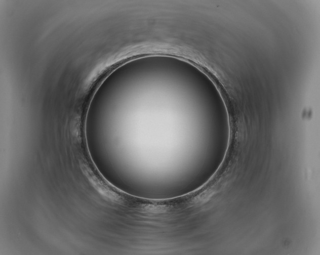X0000090861499200707271217
