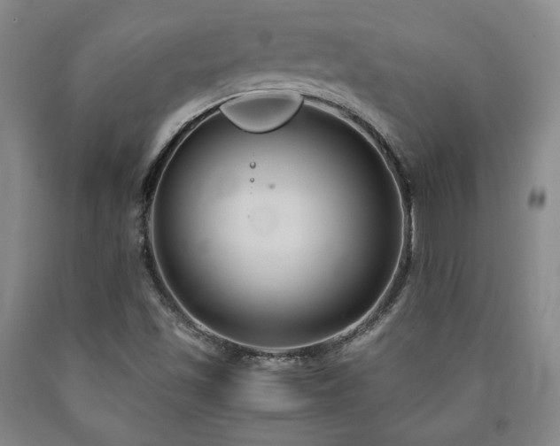 X0000090861501200707271217