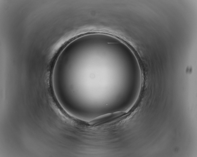 X0000090861503200707271217