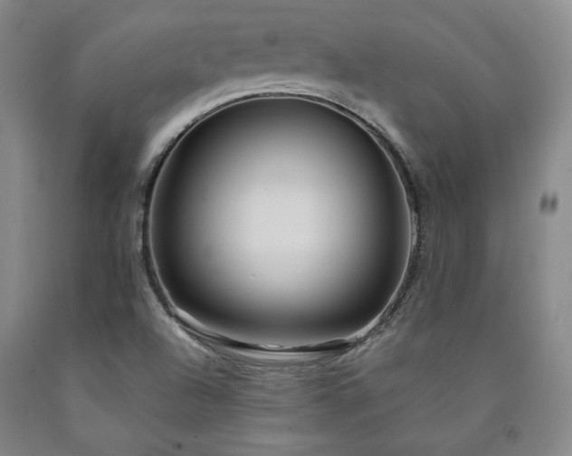 X0000090861504200707271217