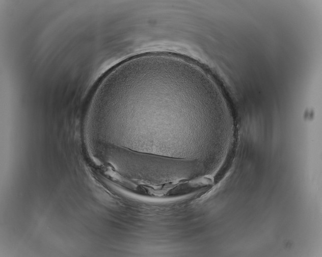 X0000090861505200707271217