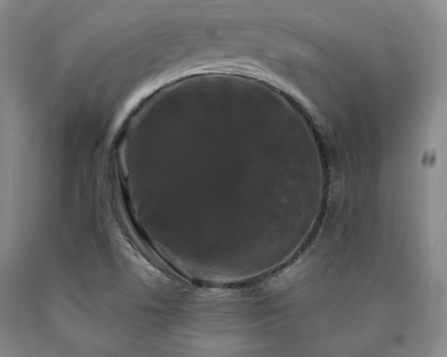 X0000090861506200707271217