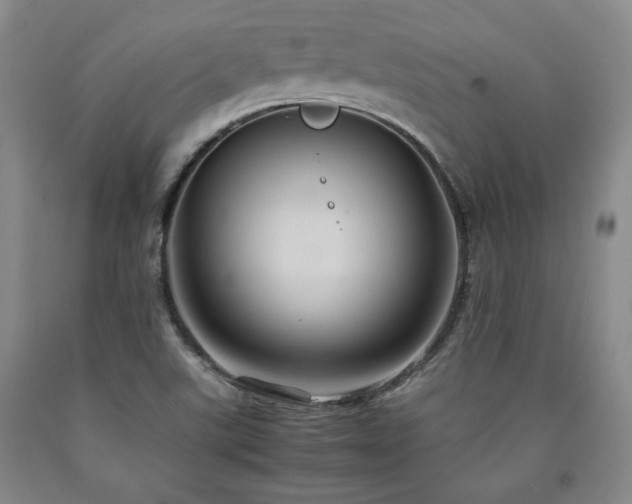 X0000090861507200707271217