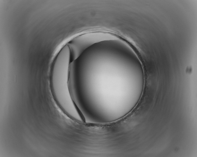 X0000090861508200707271217