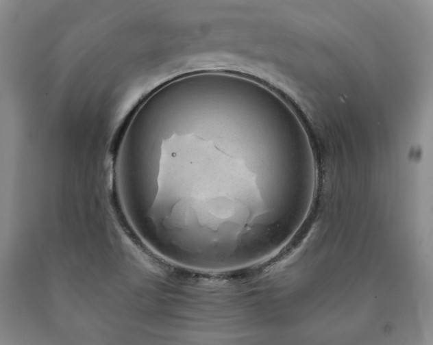 X0000090861509200707271217