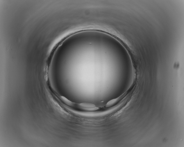 X0000090861510200707271217
