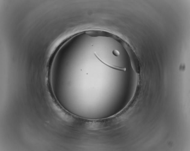 X0000090861511200707271217