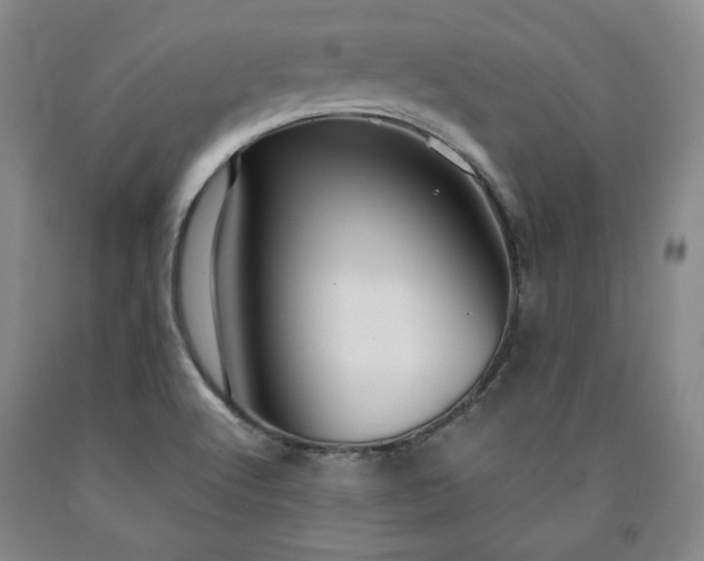 X0000090861512200707271217