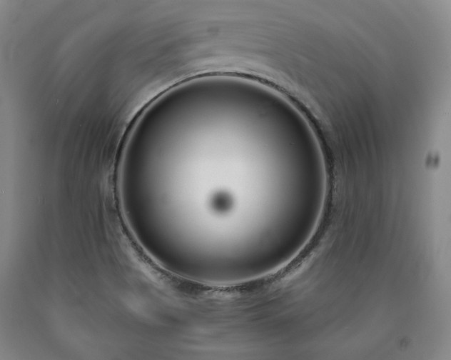 X0000090861513200707271217