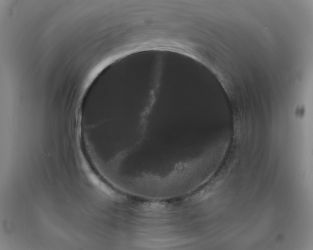 X0000090861515200707271217
