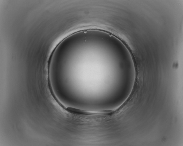 X0000090861516200707271217