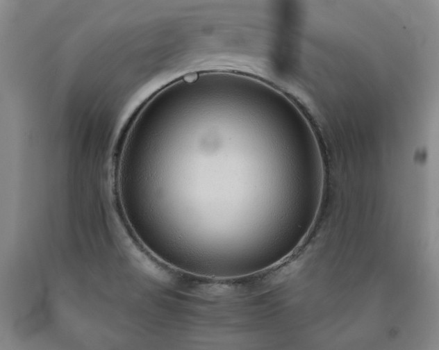 X0000090861517200707271217