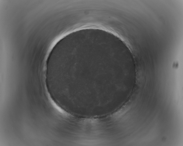 X0000090861519200707271218