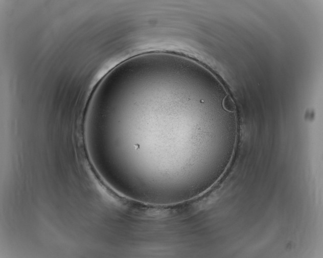 X0000090861521200707271218