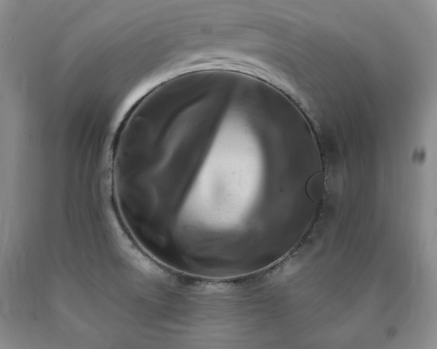 X0000090861522200707271218