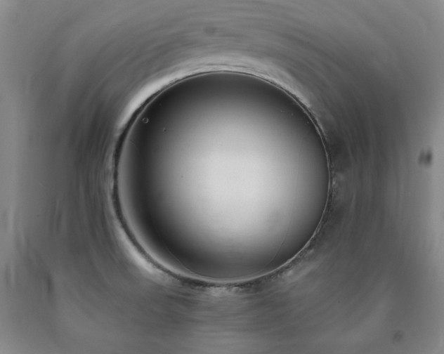 X0000090861523200707271218