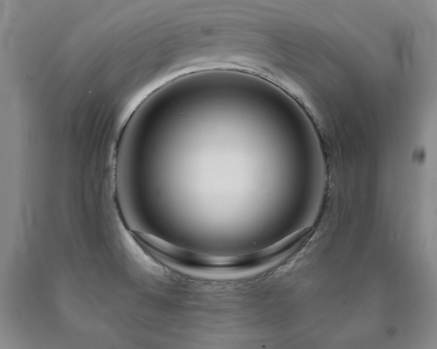 X0000090861524200707271218