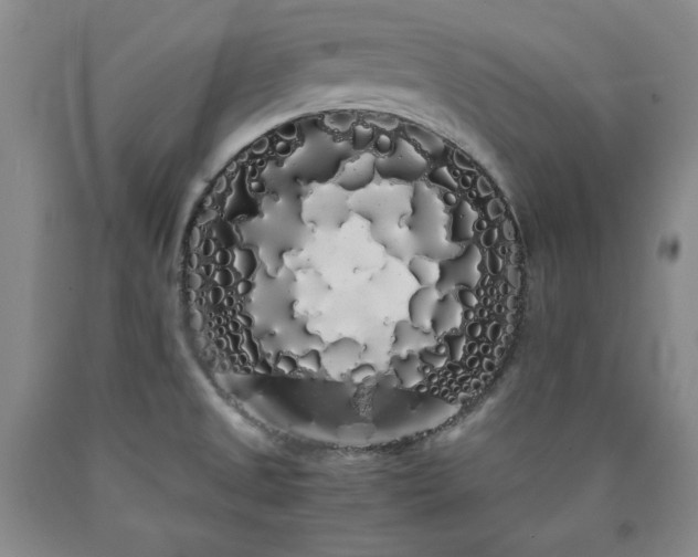 X0000090861525200707271218