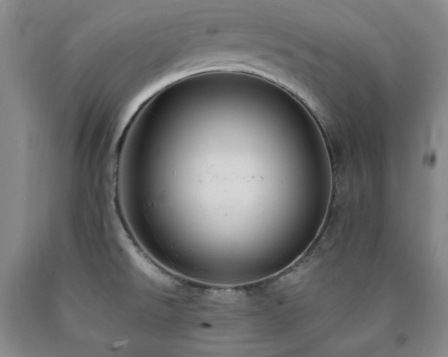 X0000090861526200707271218