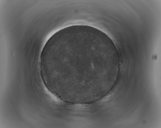 X0000090861527200707271218