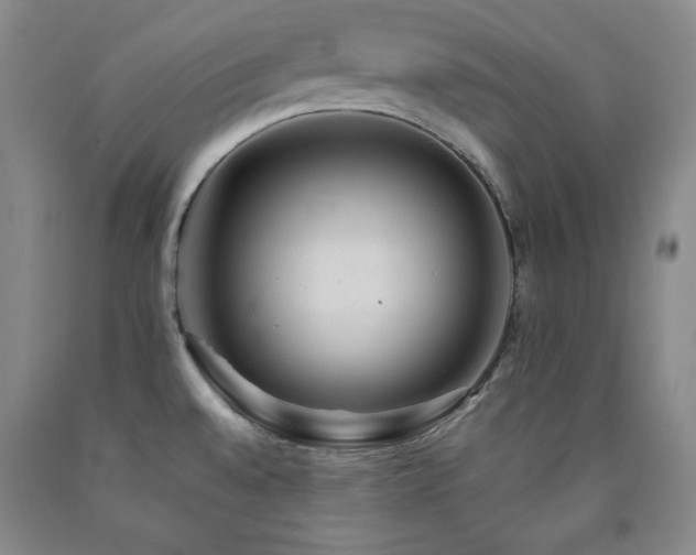 X0000090861528200707271218