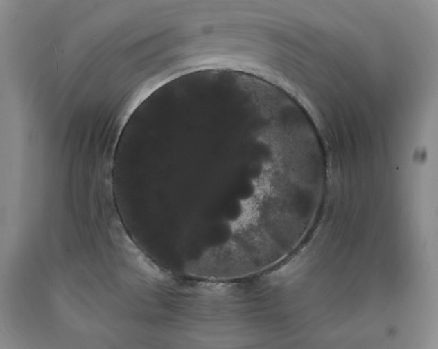 X0000090861529200707271218