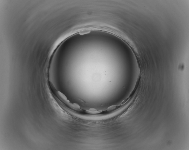 X0000090861530200707271218