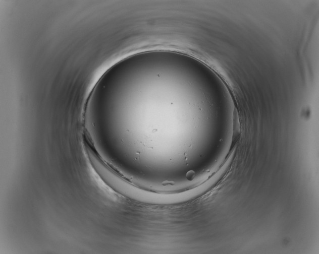 X0000090861532200707271218