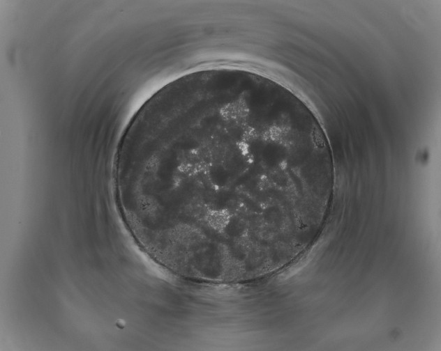 X0000090861533200707271218