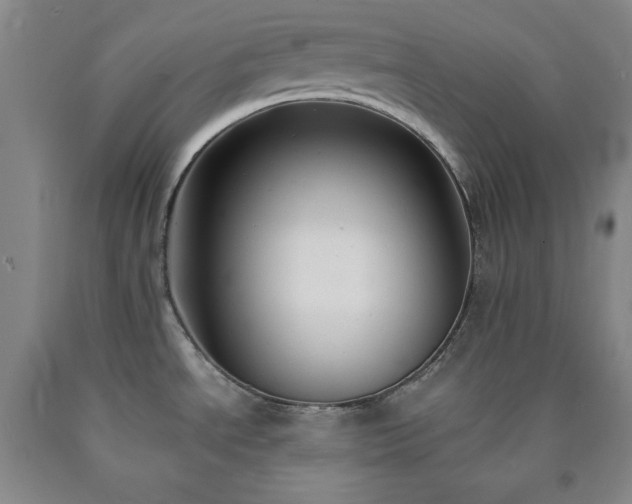 X0000090861534200707271218