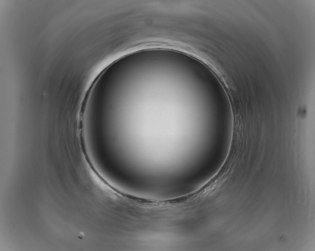 X0000090861535200707271218