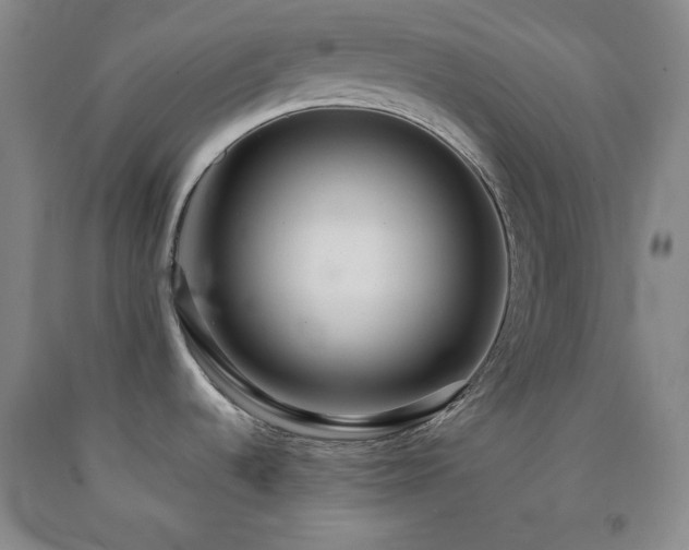 X0000090861536200707271218