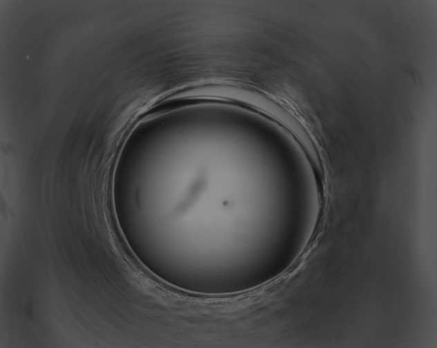 X0000090860001200708030958